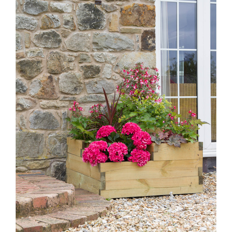 Sol 72 Outdoor Dighton 90cm x 90cm Wooden Raised Flower Bed & Reviews